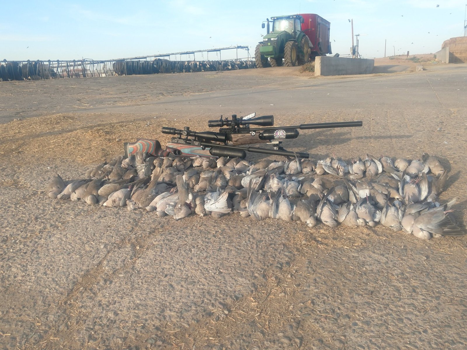 IMG_20190606_181921376