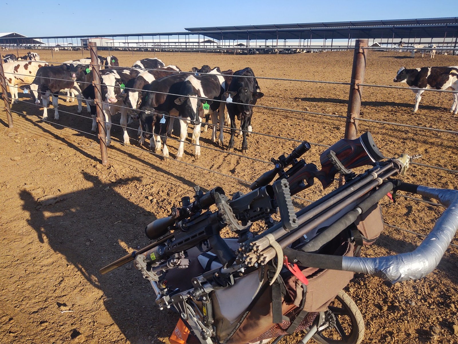 IMG_20200502_174100975_HDR