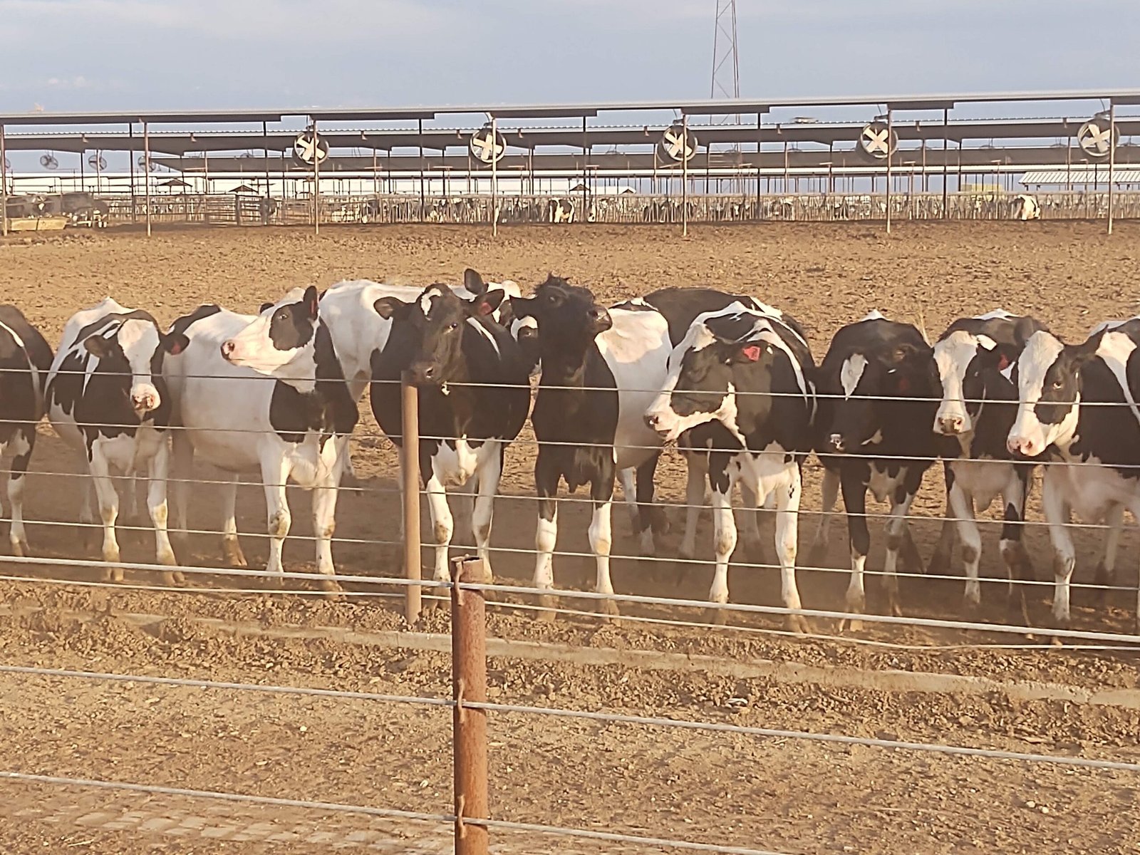 IMG_20200509_182456589