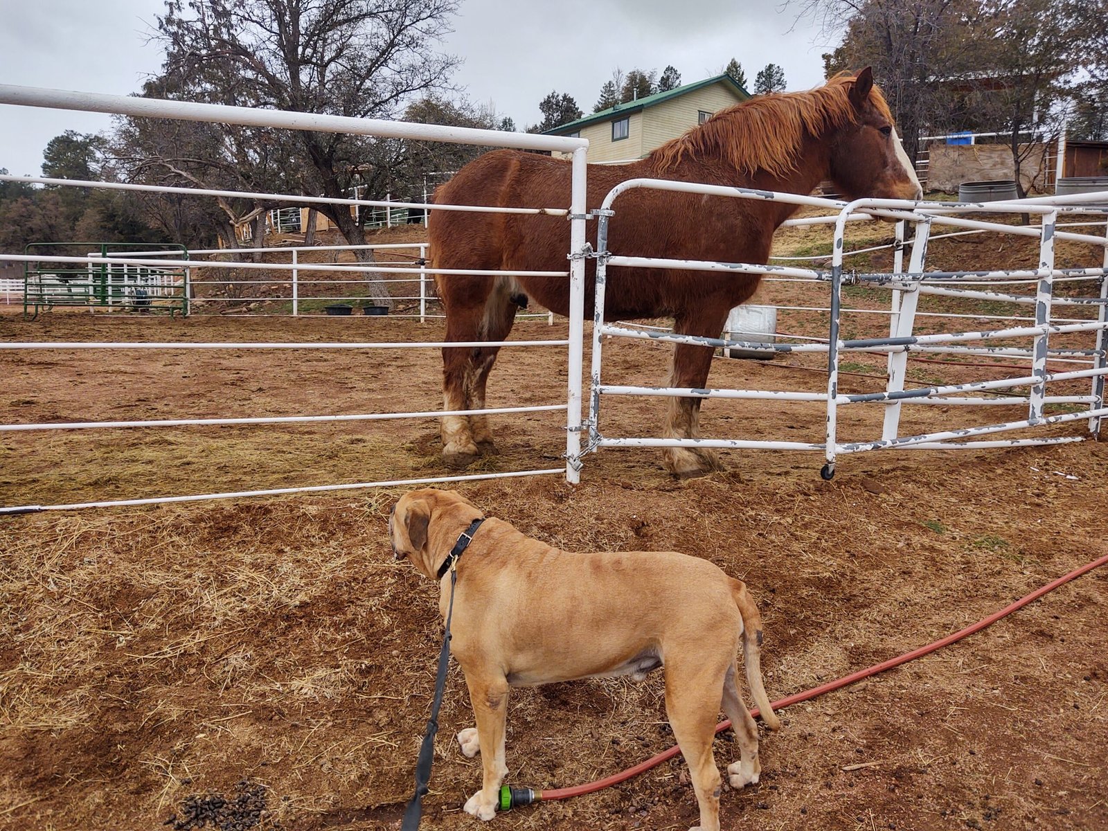 IMG_20210313_114715339_HDR