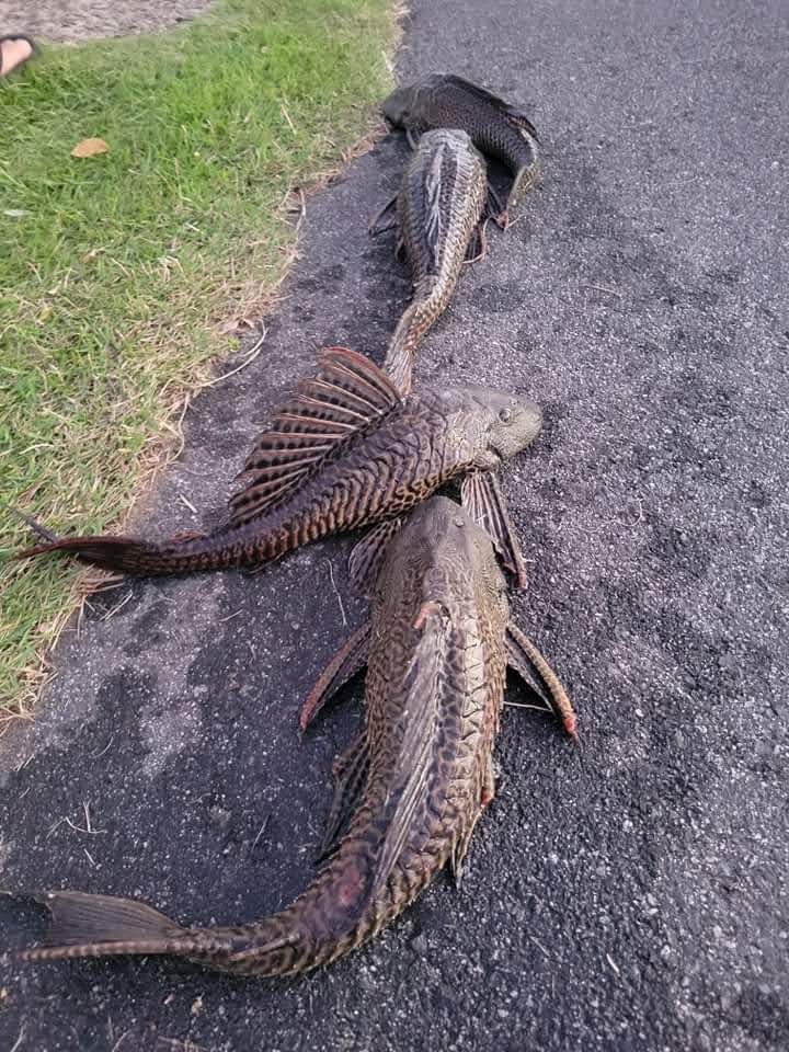 received_1178114939392648